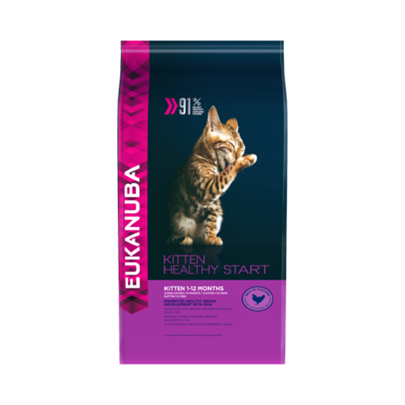 Eukanuba kitten